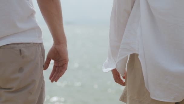 Attrayant Couple Asiatique Profitant Coucher Soleil Romantique Sur Plage Tenant — Video