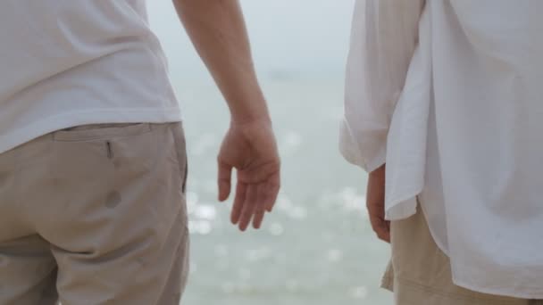 海の近くのビーチで手をつないでいるアジアの愛するカップル 休日の夏にビーチに立っている間 クローズアップカップルは手をつないでいます — ストック動画