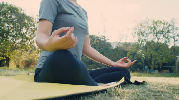 Närbild Meditation Parken Vid Soluppgången — Stockvideo