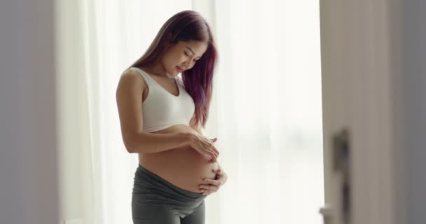 Eine Schöne Asiatische Glückliche Schwangere Frau Steht Neben Fenstern Und — Stockvideo