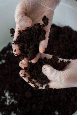 Tohum ekmek için açık palmiyelere turba ekilen verimli topraklar.