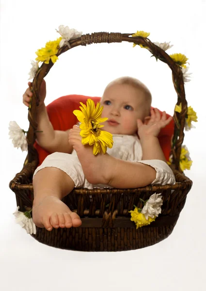 Baby in a basket — Stock Photo, Image