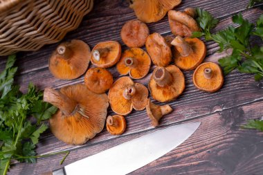 Lactarius Deliciosus - en çok aranan yenilebilir mantarlar..