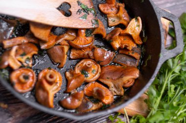 Lactarius Deliciosus - en çok aranan yenilebilir mantarlar..