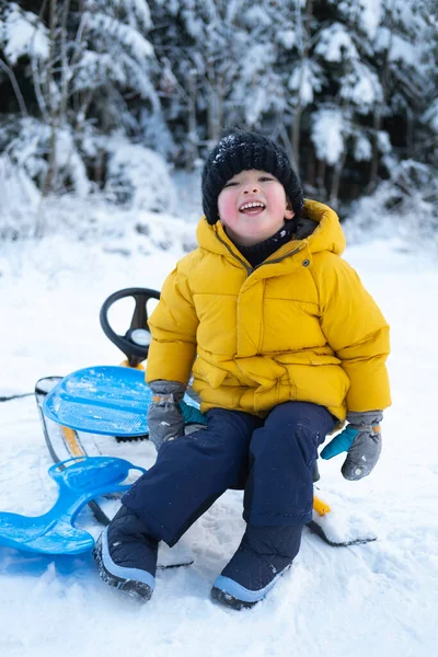 Kış Eğlencesi Küçük Çocuk Için Iyisi — Stok fotoğraf