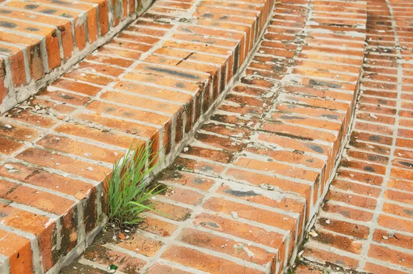 Grass on the stairs — Stock Photo, Image