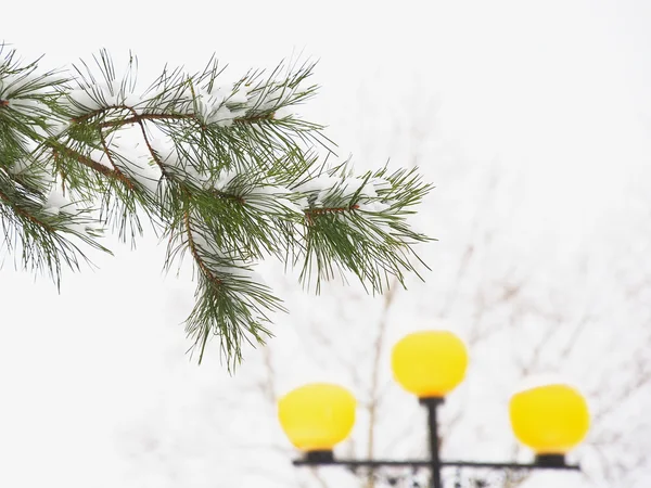 Lantern shining in the afternoon — Stock Photo, Image