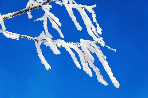 Primeiro frio — Fotografia de Stock