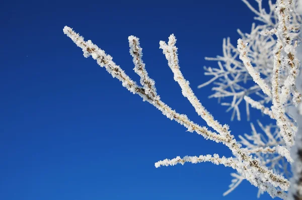 White crystals — Stock Photo, Image