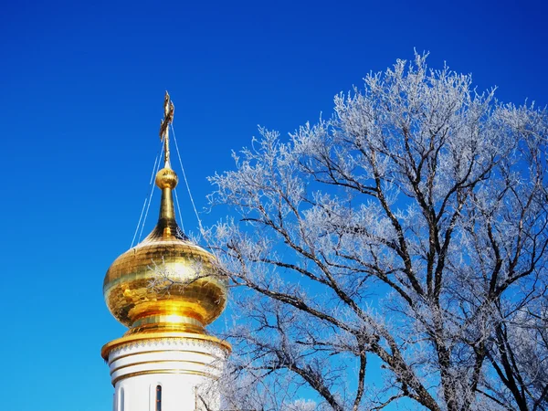 kubbe ve beyaz şubeleri