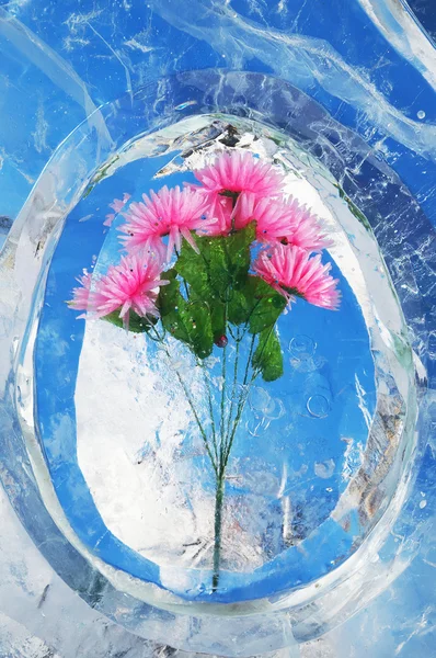 Flores en hielo — Foto de Stock