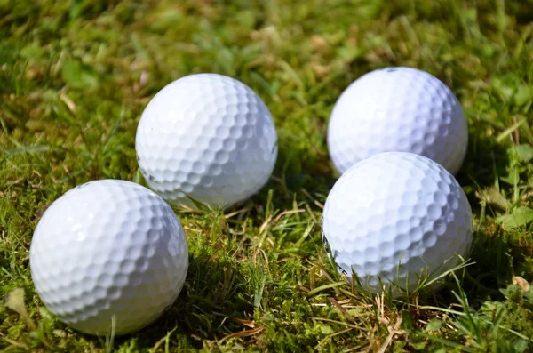 Golfballen in de Kemphaan — Stockfoto