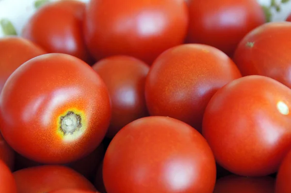 Tomates Fotos De Stock Sin Royalties Gratis