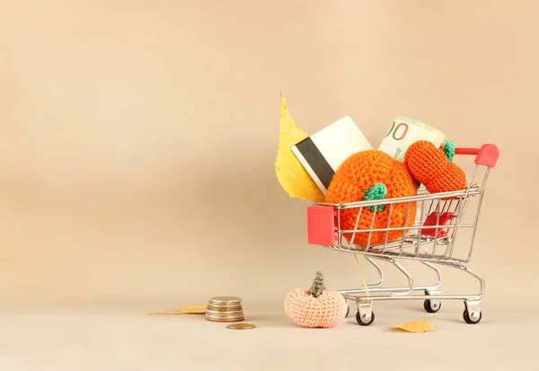 Herfst verkoop lay-out op lichte achtergrond, mandje met bankkaart, geld, oranje garen pompoenen en bladeren — Stockfoto