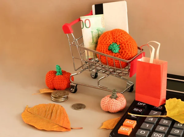 Höst försäljning layout på ljus bakgrund, shopping väska bredvid mynt, orange garn pumpor och blad — Stockfoto