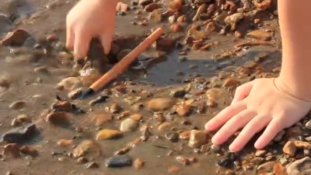 Little boy playing in the sand buries a shovel with his hands, family games with children on the beach on a summer day — Stock video