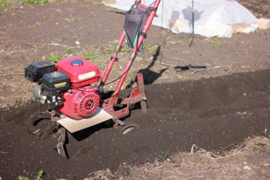 Kırmızı bir traktör sabanla tarlada duruyor, baharda bitki ve fidanlar için bir bahçe hazırlıyor.
