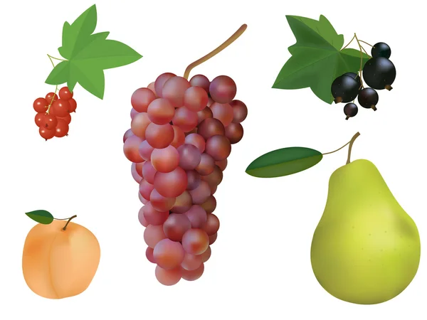 Kolekcja owocowo -jagodowe. — Wektor stockowy
