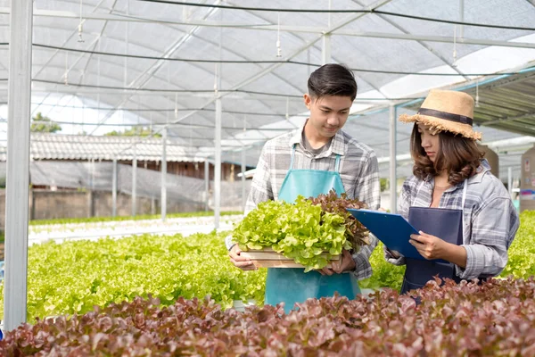 Hydroponics Fazendeiros Asiáticos Novos Examinaram Qualidade Vegetais Orgânicos Crescidos Usando — Fotografia de Stock
