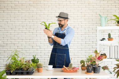 Bıyıklı, yaşlı ve yakışıklı bir adam ağaç bakımıyla mutlu olur. Evde bahçıvanlık hobisi. Emeklilikten sonra mutlu yaşamak. Doğa ve çevre kavramları.