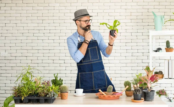 Bıyıklı, yaşlı ve yakışıklı bir adam ağaç bakımıyla mutlu olur. Evde bahçıvanlık hobisi. Emeklilikten sonra mutlu yaşamak. Doğa ve çevre kavramları.