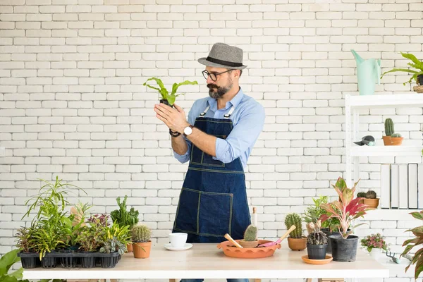 Bıyıklı, yaşlı ve yakışıklı bir adam ağaç bakımıyla mutlu olur. Evde bahçıvanlık hobisi. Emeklilikten sonra mutlu yaşamak. Doğa ve çevre kavramları.