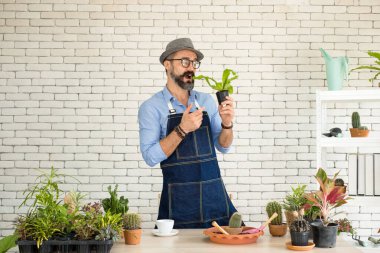 Bıyıklı, yaşlı ve yakışıklı bir adam ağaç bakımıyla mutlu olur. Evde bahçıvanlık hobisi. Emeklilikten sonra mutlu yaşamak. Doğa ve çevre kavramları.