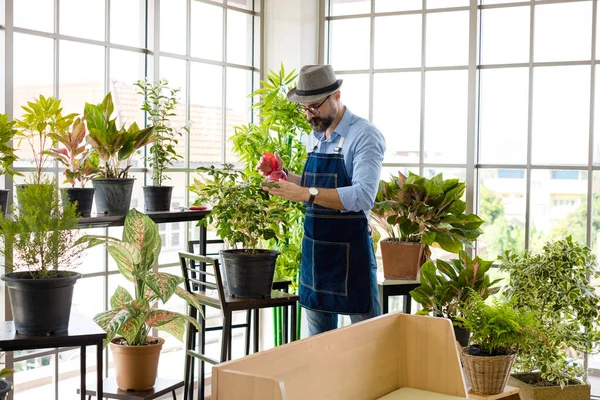 Bıyıklı, yaşlı ve yakışıklı bir adam ağaç bakımıyla mutlu olur. Evde bahçıvanlık hobisi. Emeklilikten sonra mutlu yaşamak. Doğa ve çevre kavramları.