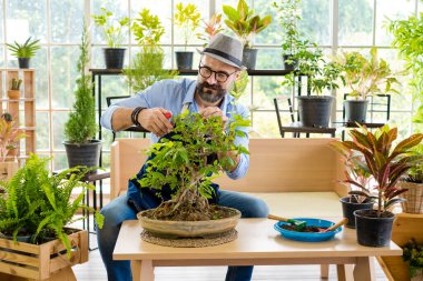 Bıyıklı, yaşlı ve yakışıklı bir adam ağaç bakımıyla mutlu olur. Evde bahçıvanlık hobisi. Emeklilikten sonra mutlu yaşamak. Doğa ve çevre kavramları.