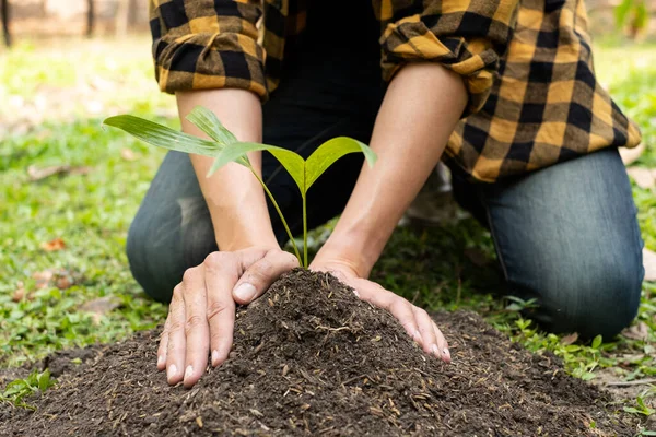 The young man's hands are planting young seedlings on fertile ground, taking care of growing plants. World environment day concept, protecting nature.