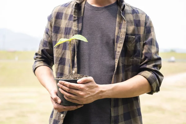 The young man\'s hands are planting young seedlings on fertile ground, taking care of growing plants. World environment day concept, protecting nature.