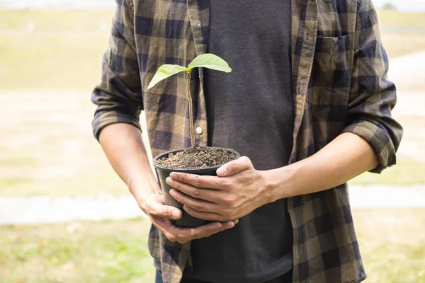 The young man\'s hands are planting young seedlings on fertile ground, taking care of growing plants. World environment day concept, protecting nature.