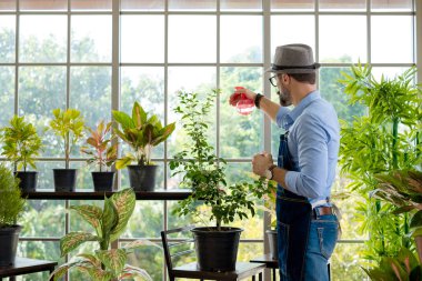 Bıyıklı, yaşlı ve yakışıklı bir adam ağaç bakımıyla mutlu olur. Evde bahçıvanlık hobisi. Emeklilikten sonra mutlu yaşamak. Doğa ve çevre kavramları.
