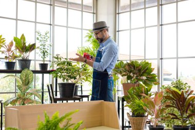 Bıyıklı, yaşlı ve yakışıklı bir adam ağaç bakımıyla mutlu olur. Evde bahçıvanlık hobisi. Emeklilikten sonra mutlu yaşamak. Doğa ve çevre kavramları.