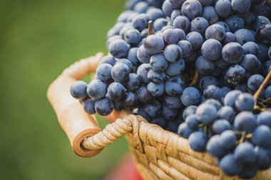 Tahta masadaki sepetin üzerinde üzümler