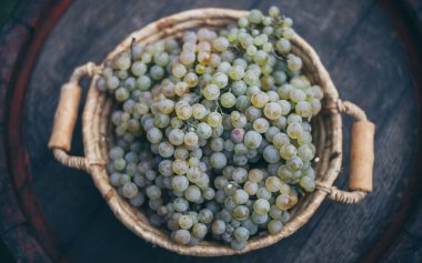 Vintage ahşap fıçıda üzümlü sepet, masa. Şarap yapımı.