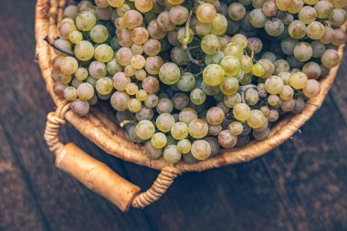 Vintage ahşap fıçıda üzümlü sepet, masa. Şarap yapımı.