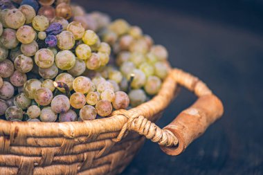 Vintage ahşap fıçıda üzümlü sepet, masa. Şarap yapımı.