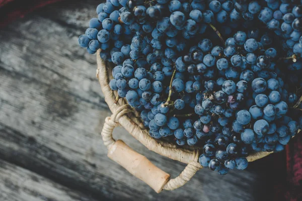 stock image Grapes on the basket on the wooden table