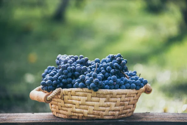 Grapes Basket Wooden Table — стоковое фото