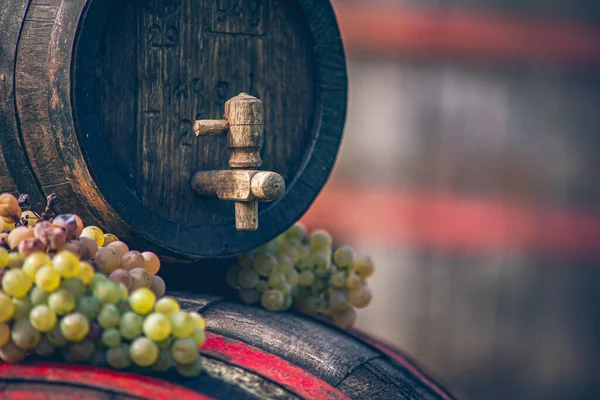 Macaristan 'da hasat mevsiminde fıçıda Riesling üzümlü şarap fıçısı