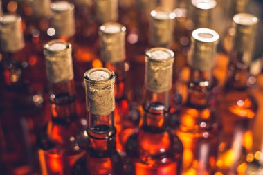 Buz, tatlı şarap şişeleri. Cabernet Franc şarap şişeleri Macar şarap mahzeninde
