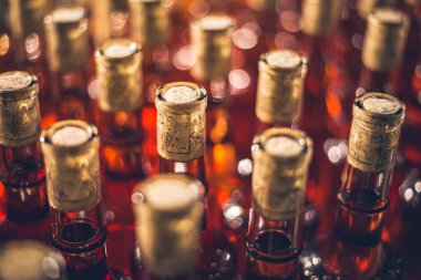 Buz, tatlı şarap şişeleri. Cabernet Franc şarap şişeleri Macar şarap mahzeninde