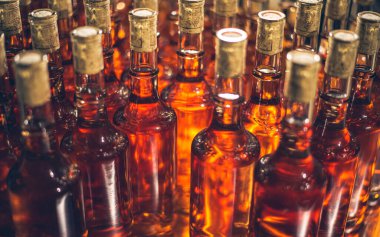 Buz, tatlı şarap şişeleri. Cabernet Franc şarap şişeleri Macar şarap mahzeninde
