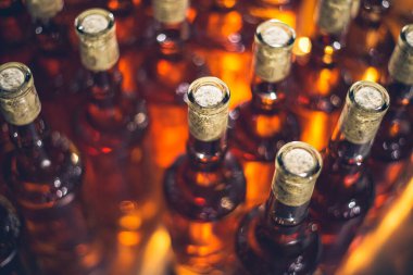 Buz, tatlı şarap şişeleri. Cabernet Franc şarap şişeleri Macar şarap mahzeninde