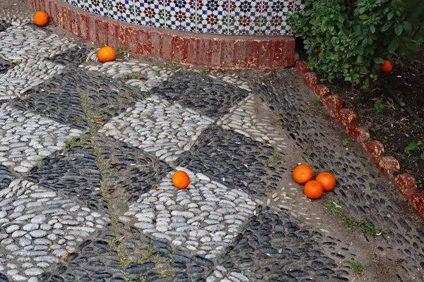 Апельсини Впали Дерева Алмазній Візерунковій Тротуарі Темної Світлої Гальки — стокове фото