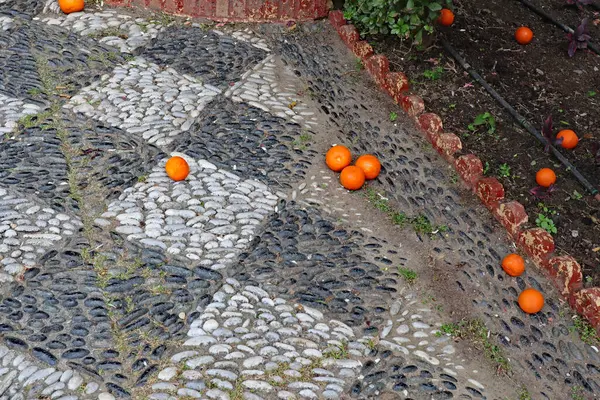 Oranges Fallen Tree Diamond Patterned Pavement Made Dark Light Coloured — Stock Photo, Image