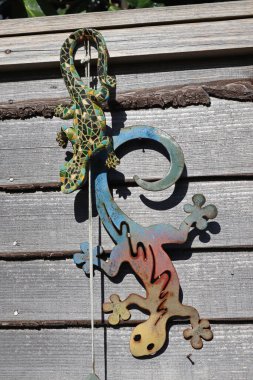 Renkli seramik model semender İngiliz arka bahçesindeki bir çardağın tepesine tırmanır.