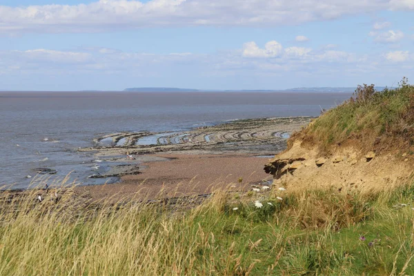 Mensen Zoeken Naar Fossielen Rotspartijen Kilve Beach Bij East Quantoxhead — Stockfoto