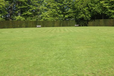 Two park benches by a hedge in a large circular grassy field.